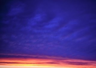 Erik Brammer - Springs and Seasonsl